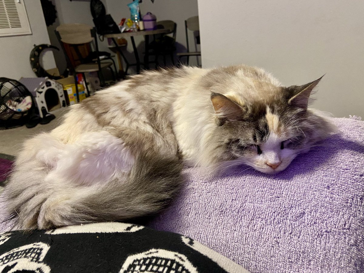 marrow 🔞 tweet media