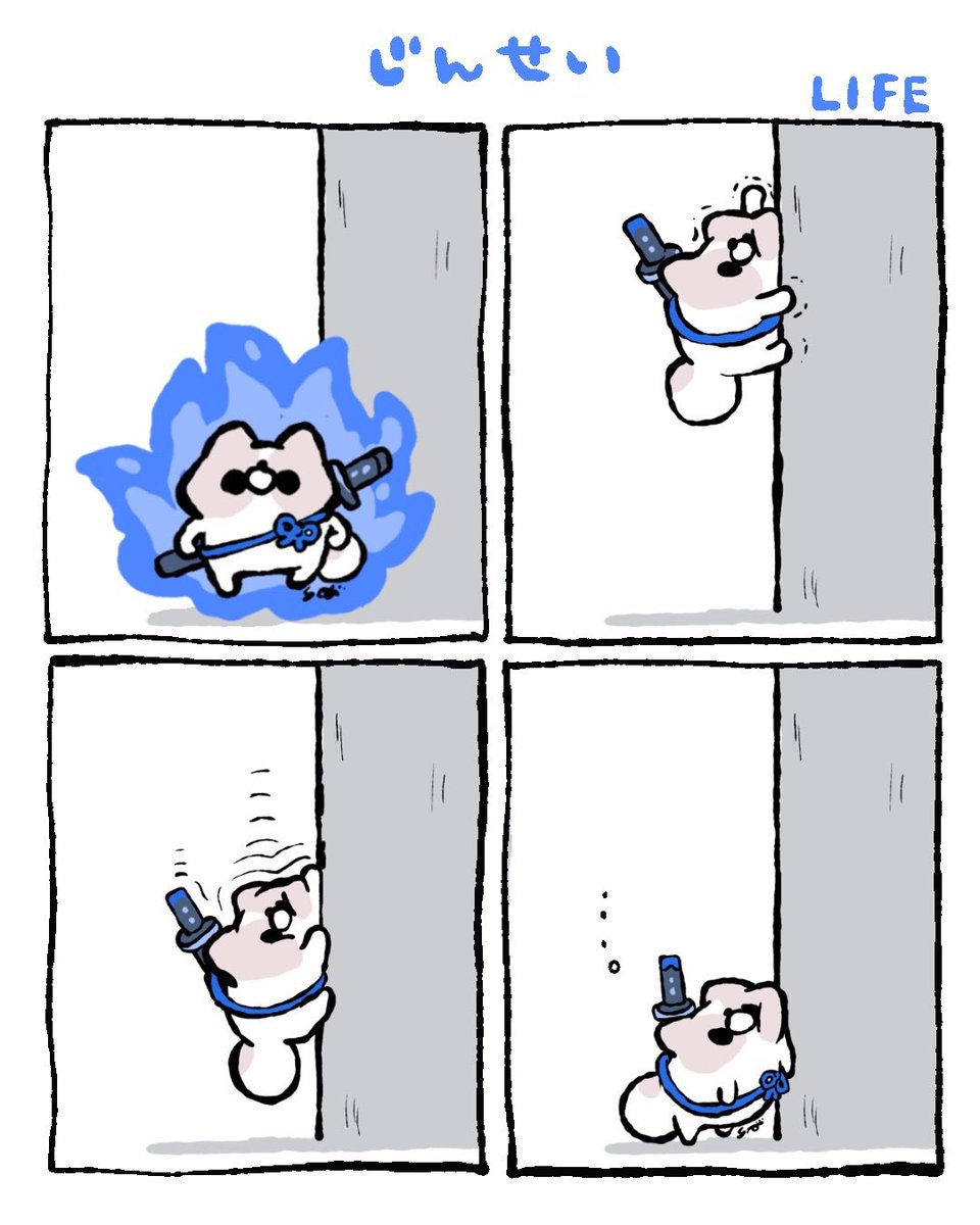 FLAT DOGGIE tweet media