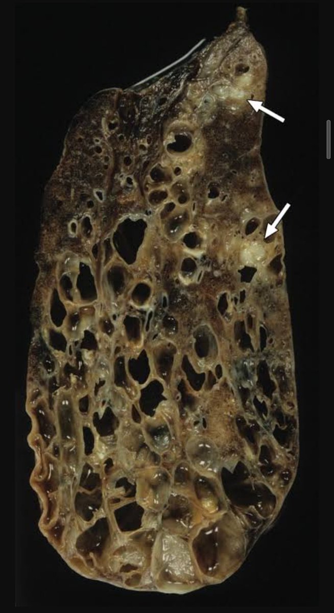 MEDICINE MADNESS tweet media