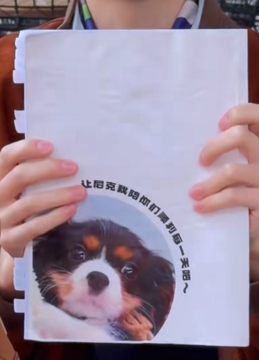 Happybarbar ‎✩🐰 ✩ tweet media