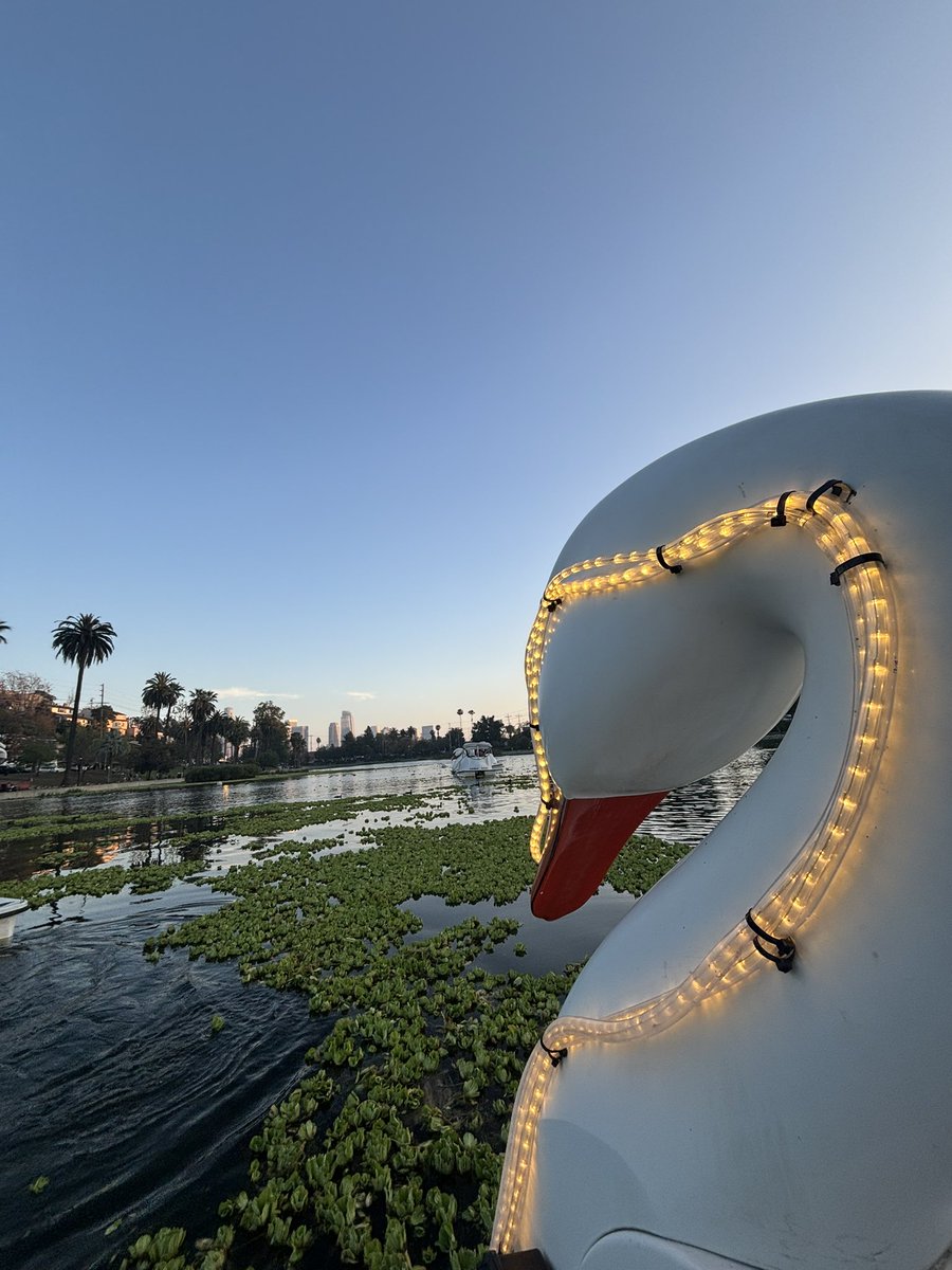 Ali Sapirman tweet media