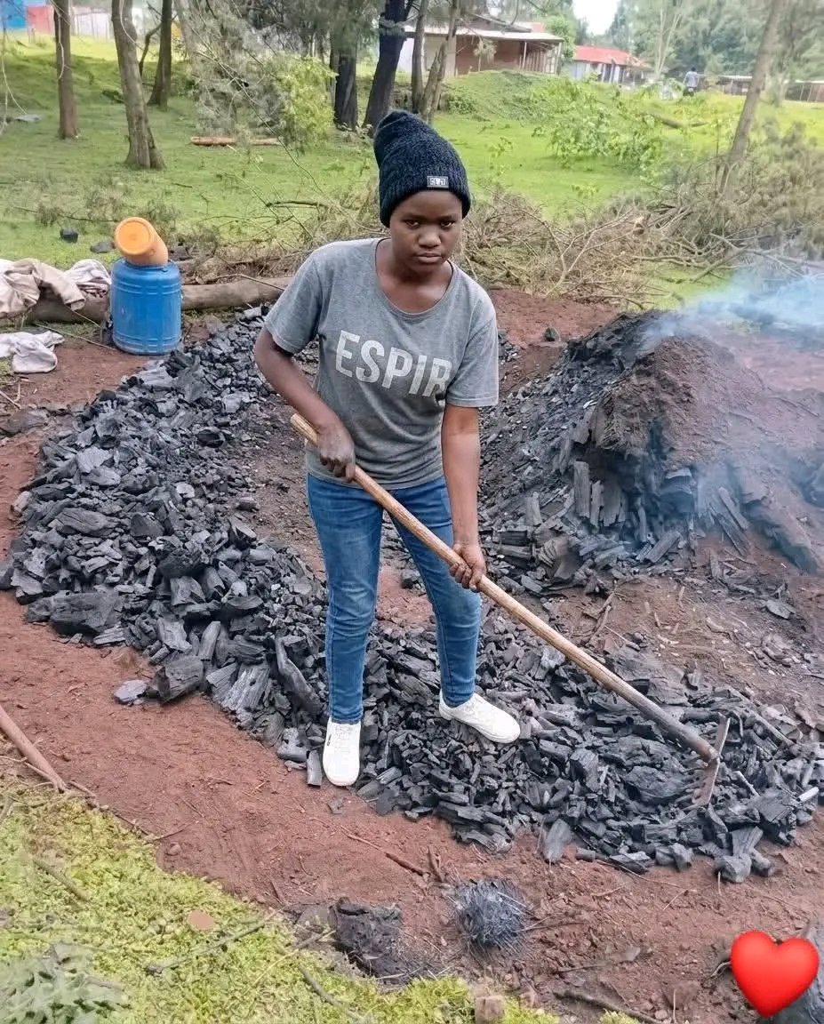 Mastardcesh tweet media