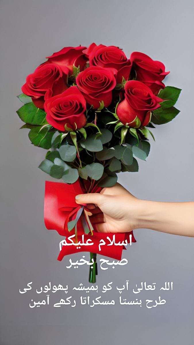 Furqan Jameel tweet media