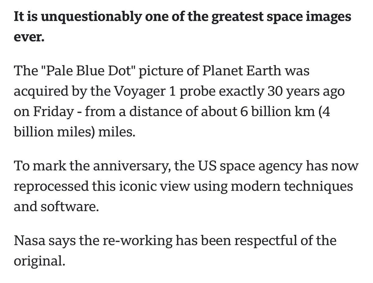 🐶🎸 tweet media