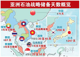 Finding心归何处🇨🇦🇺🇸 tweet media