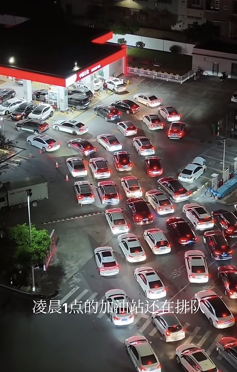 Finding心归何处🇨🇦🇺🇸 tweet media