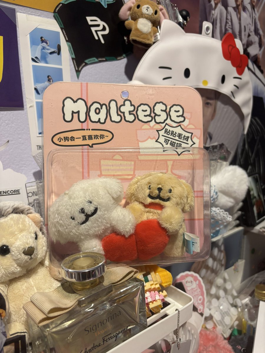 myunfaye_lee's tweet image. ส่งต่อ พวงกุญแจ #maltese 

น้องมีแม่เหล็กติดกันได้ 
ได้ทั้งหมด 350 ส่งฟรี 

สนใจสอบถาม dm ได้เลยค่ะ
 #ตลาดนัดกล่องสุ่ม #ตลาดนัดmaltese