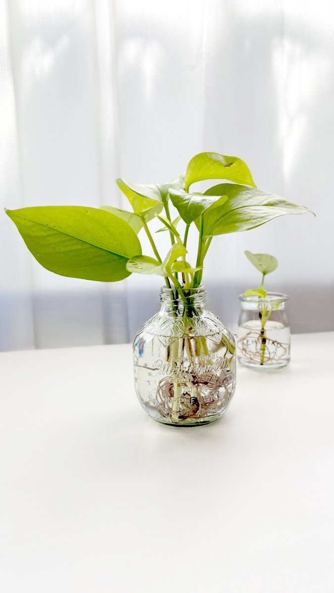 アイコ｜在宅ワーク×デザインの伴走者 tweet media