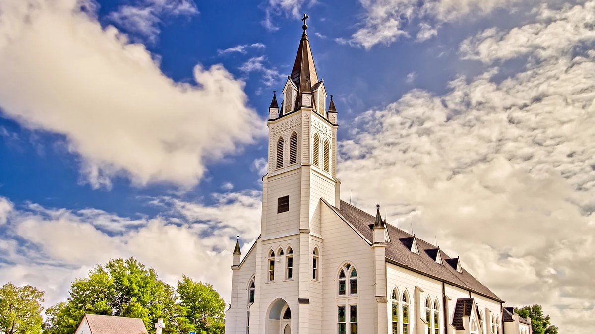 Plasmanode tweet media