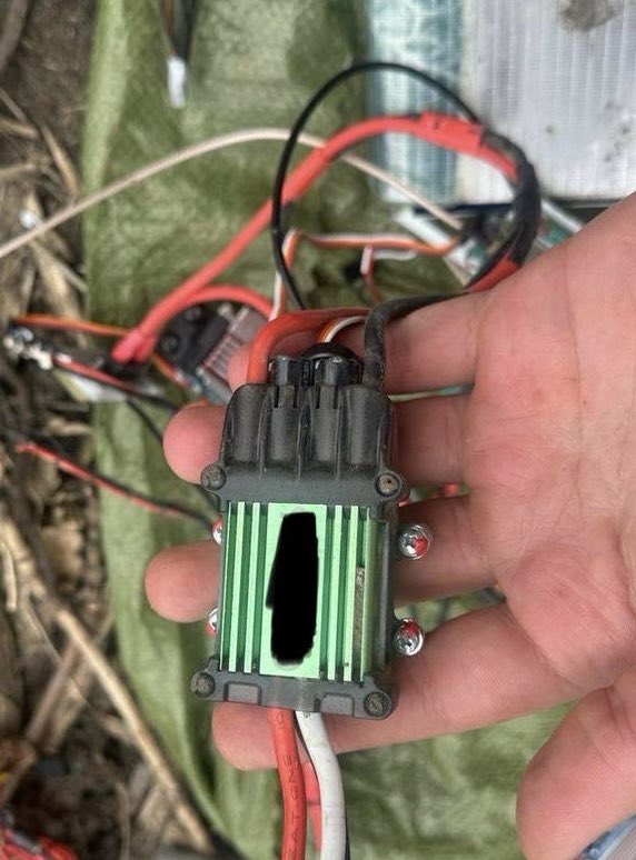 Roy🇨🇦 tweet media