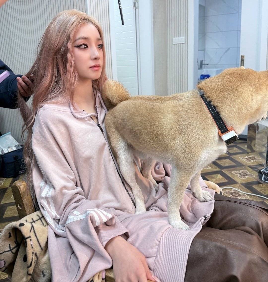 우MO니 tweet media