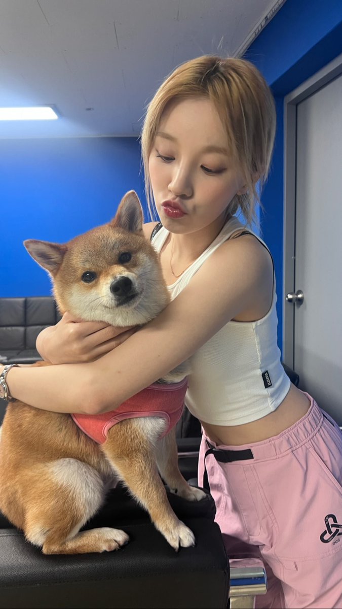 우MO니 tweet media