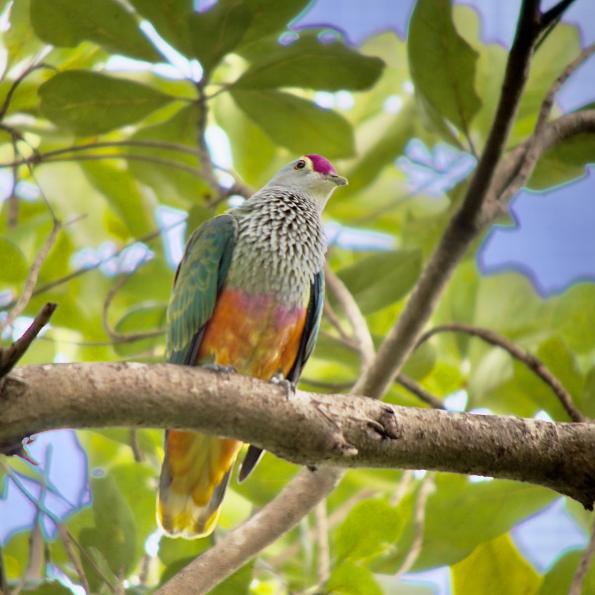 Jun MATSUI tweet media