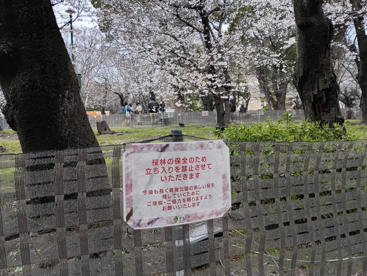 g_ken2003's tweet photo. 昨日の鶴舞公園はまだちらほら咲き🌸。シート敷いての花見はダメになってた https://t.co/KUCVtWDw4n