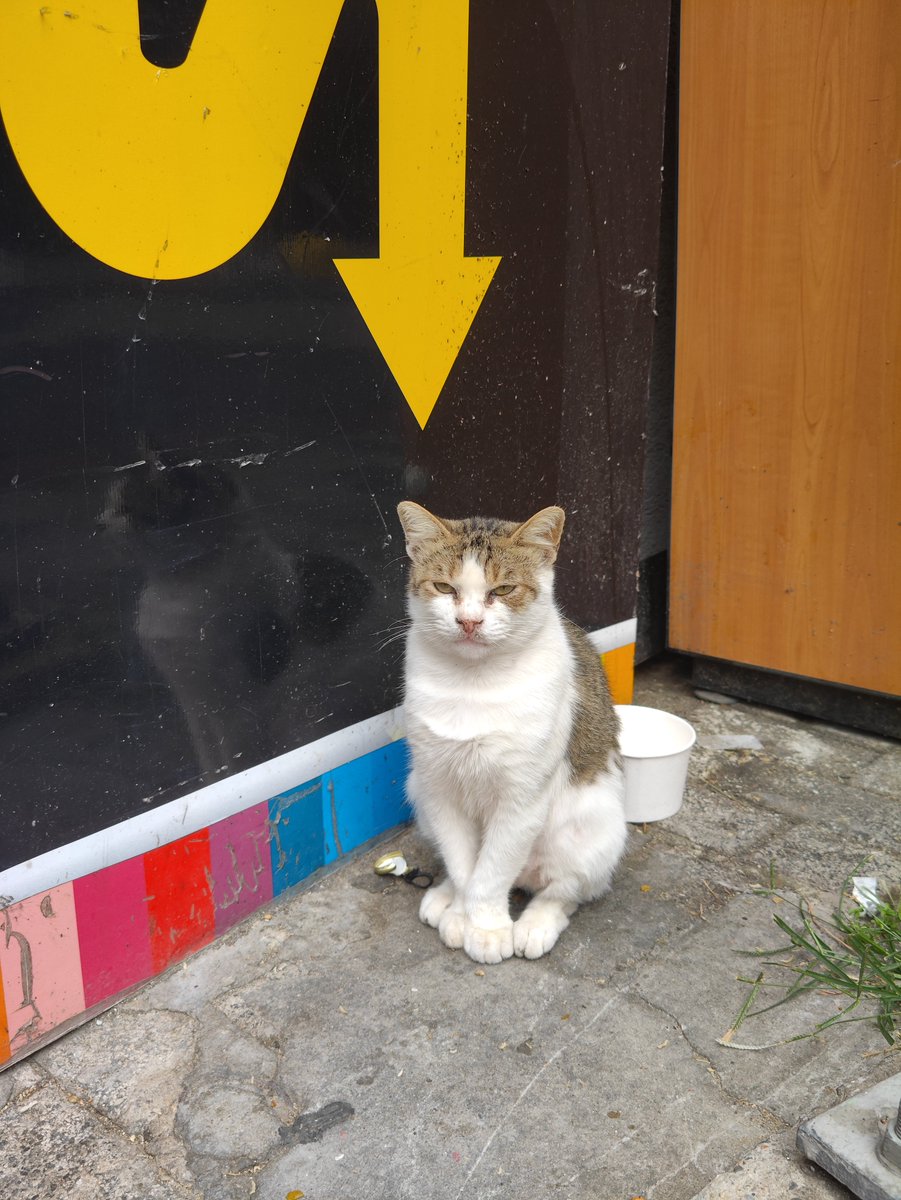 かおにゃお総書記@バンコク tweet media