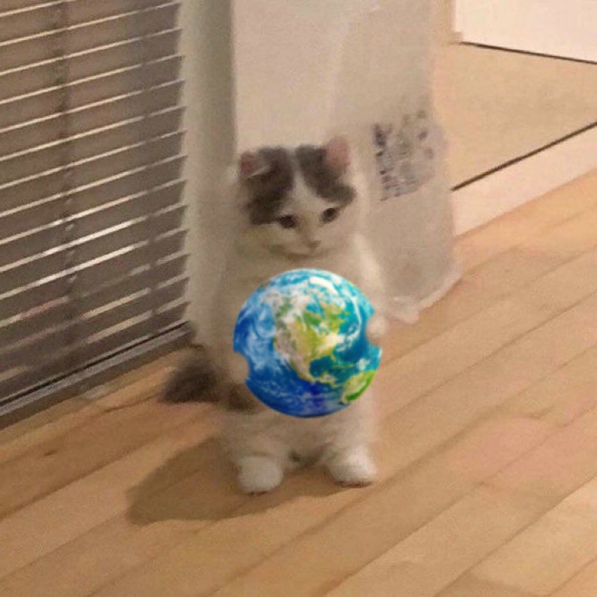 Tiger.AywA tweet media