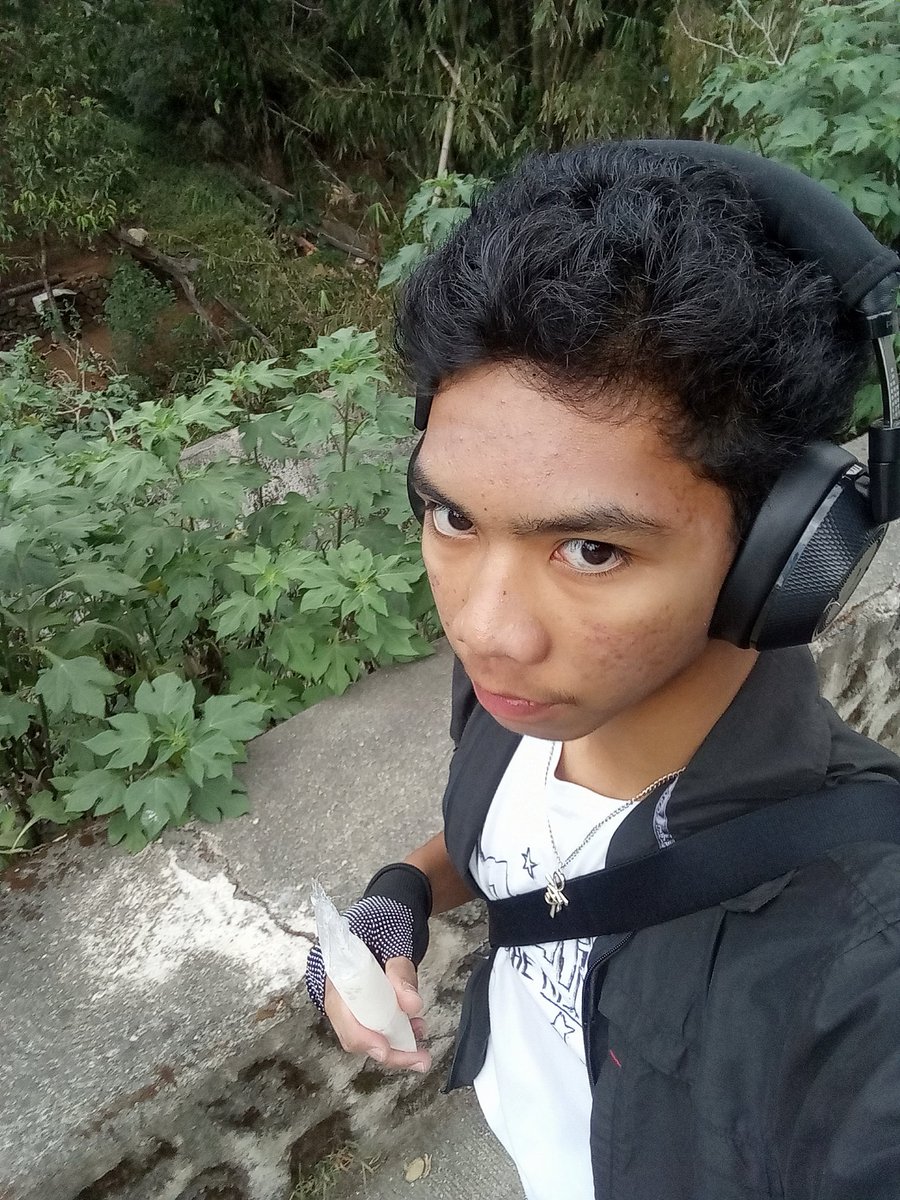 ⋙ CEZANNE ✷ / ꪆ𓏲 tweet media