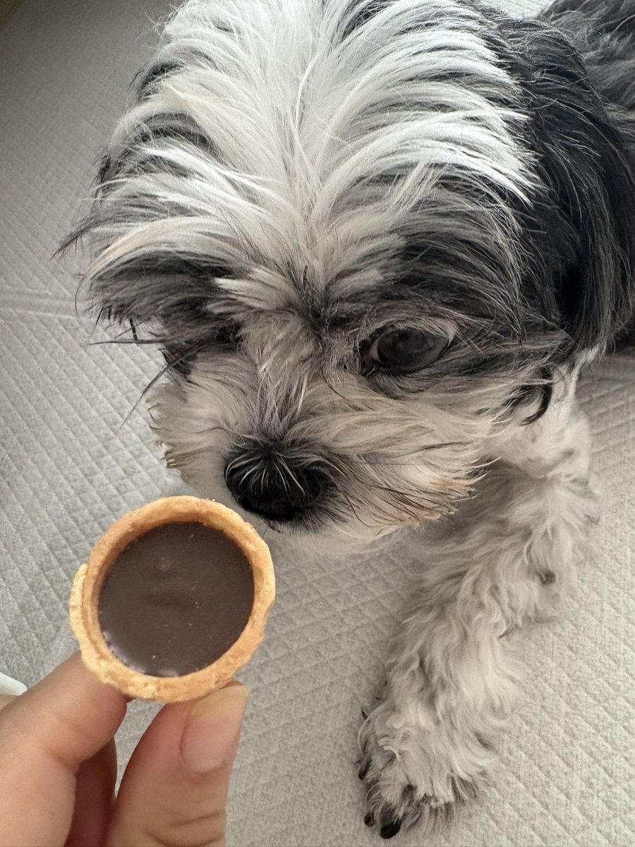 핑핑이 tweet media