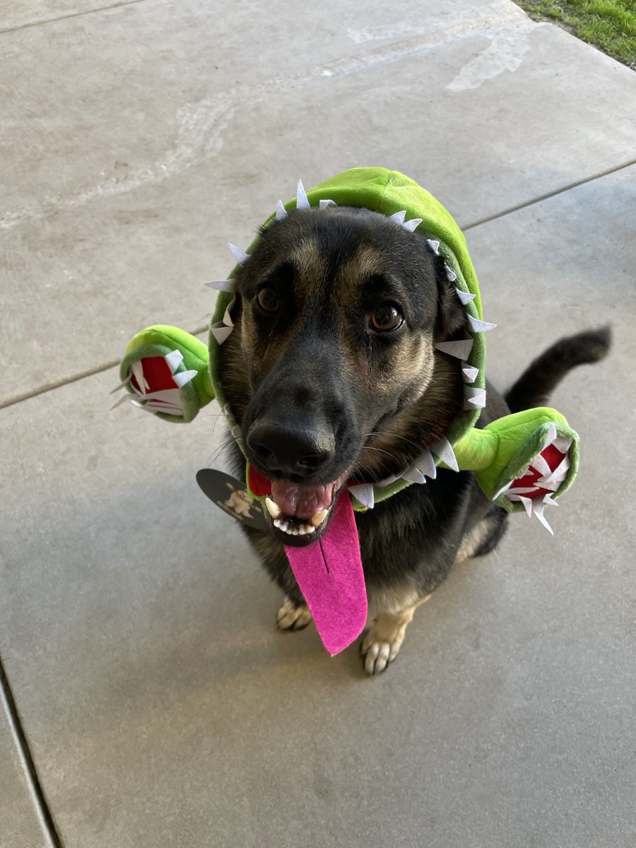 big murm tweet media