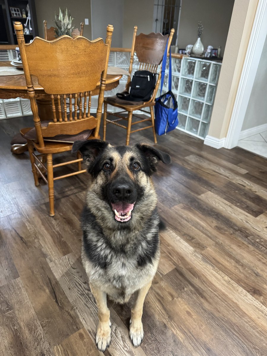 big murm tweet media