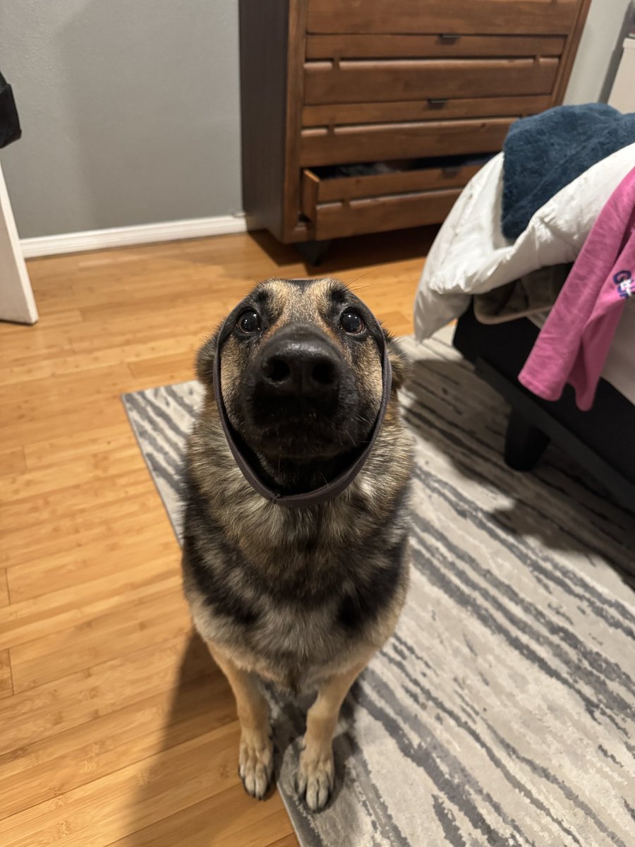 big murm tweet media