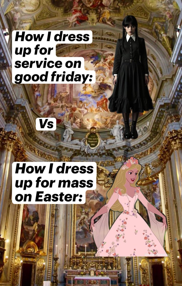 Rachel 🇻🇦 tweet media