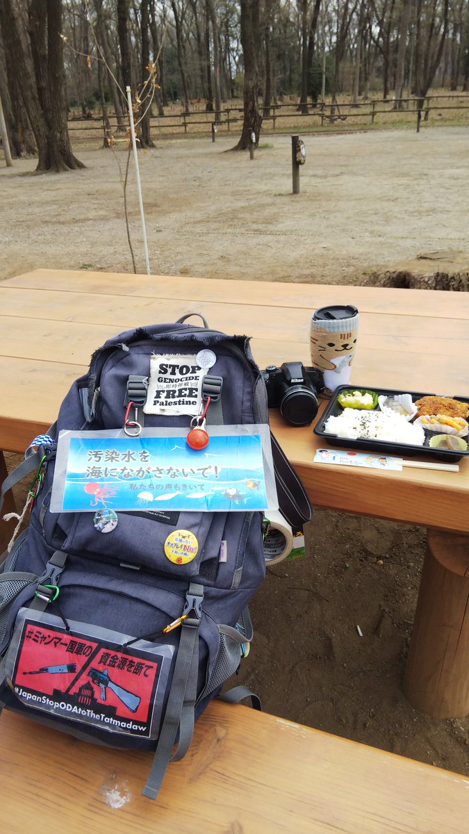 sirotama_7's tweet photo. 三芳町議会傍聴の日のお昼は福祉喫茶ハーモニーでお弁当🍱買って平地林で鳥見ランチ😎
今日も安定の美味しさ😋

BGMはカラス、ヒヨドリ、シジュウカラ。林の奥で一瞬コジュケイが「チョットコイ」。張り合うようにガビチョウがシャウト😁 https://t.co/1mnYdDWe4G
