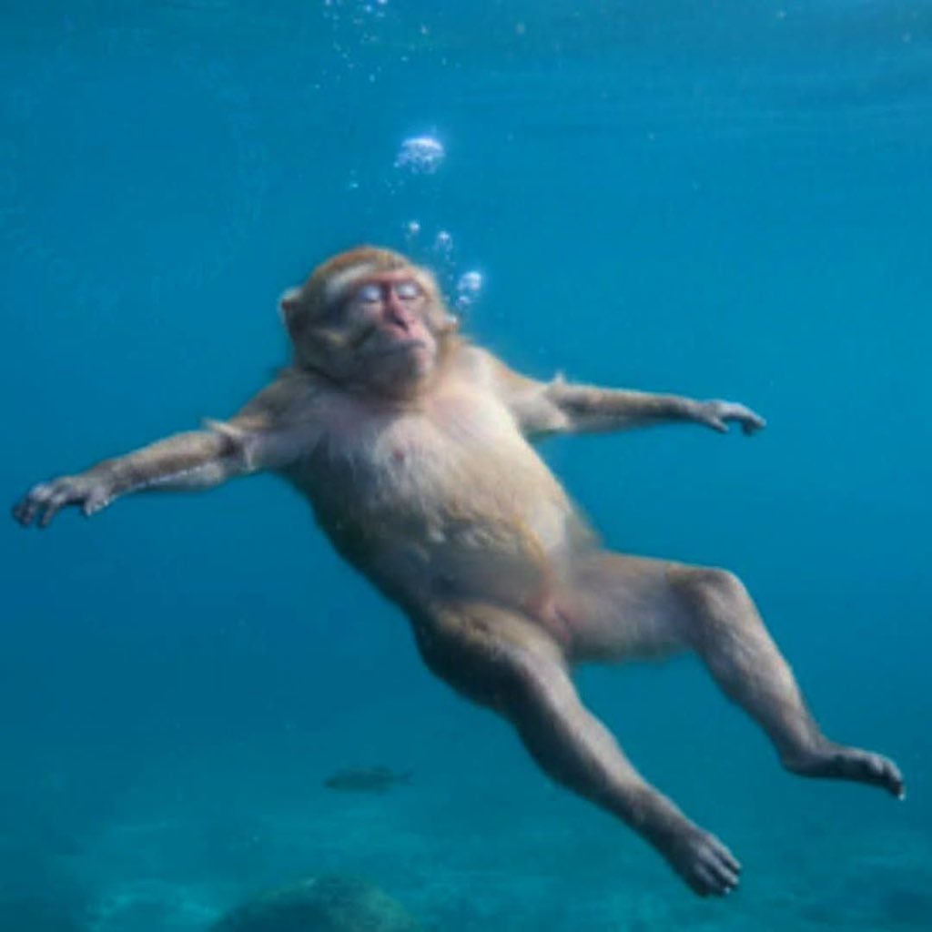 องหยิงลิมเร 🪷 tweet media