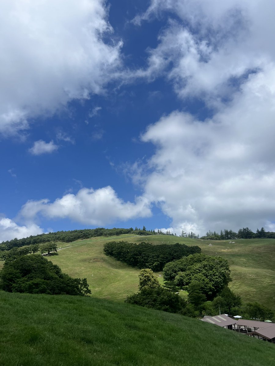 ๋นตํผ๋ฐ๋ผ tweet media