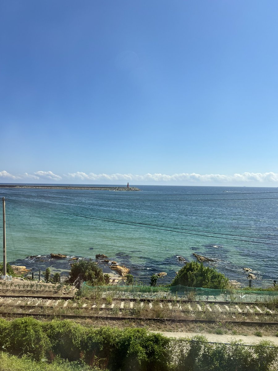 ๋นตํผ๋ฐ๋ผ tweet media