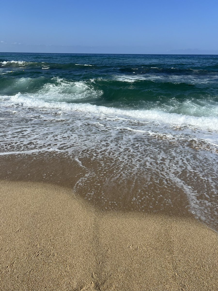 ๋นตํผ๋ฐ๋ผ tweet media