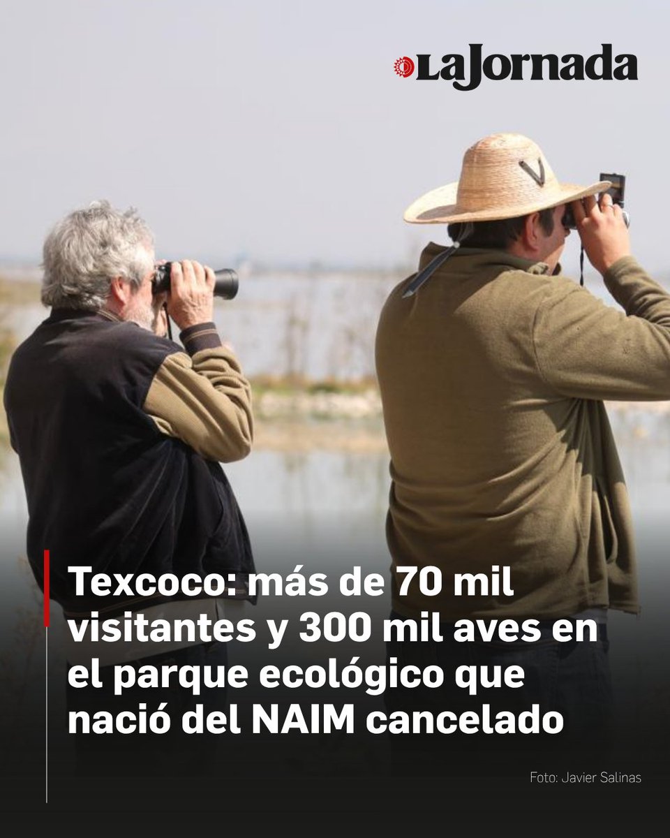El Parque Ecológico Lago de Texcoco en los últimos meses se ha comenzado a consolidar como una verdadera alternativa de un sitio de recreación, deportiva y medio ambiental para miles de personas, registrando más de 70 mil visitantes cautivos, y que es el hogar de una vasta