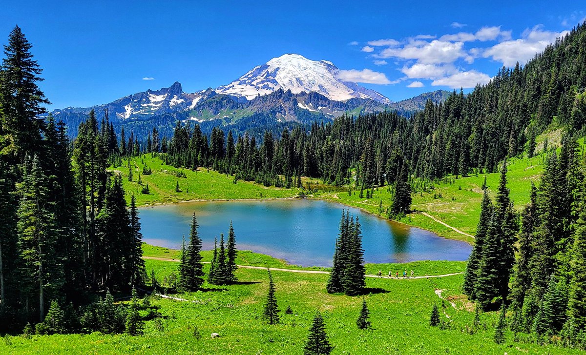 Naturally Heathir tweet media