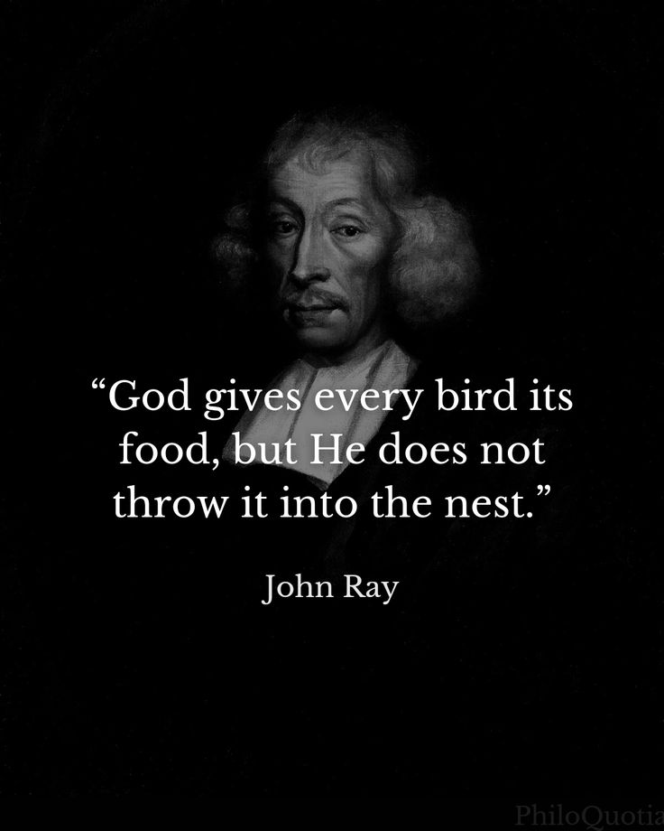 Deep philosophy tweet media