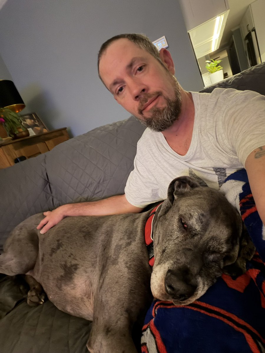 Patriot 🇺🇸 tweet media