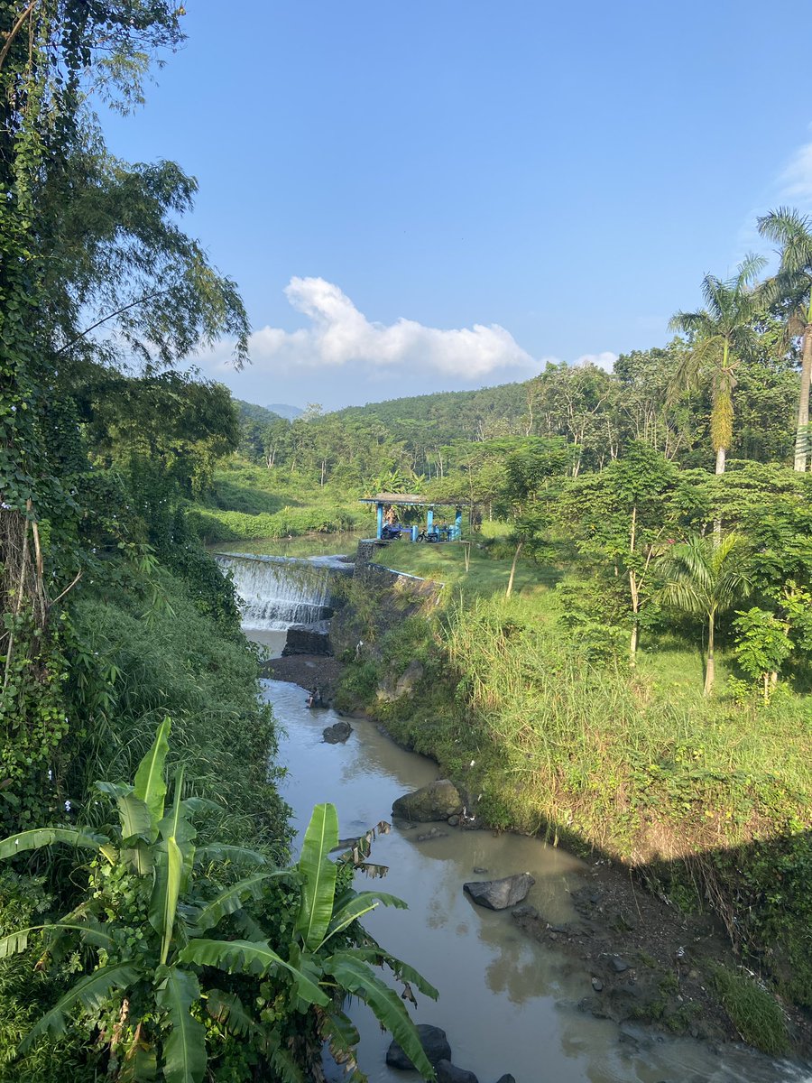 HRD BACOT tweet media