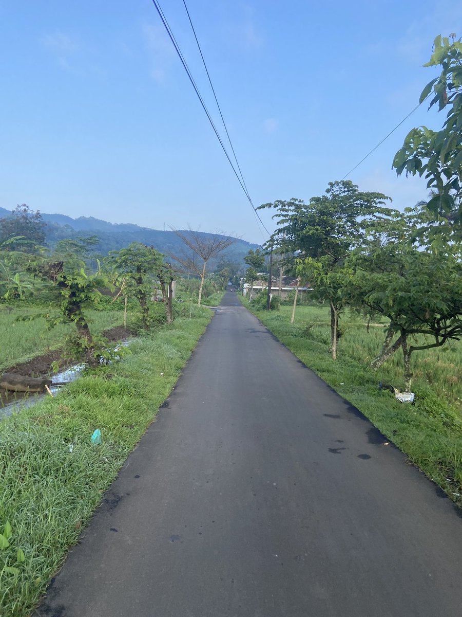 HRD BACOT tweet media