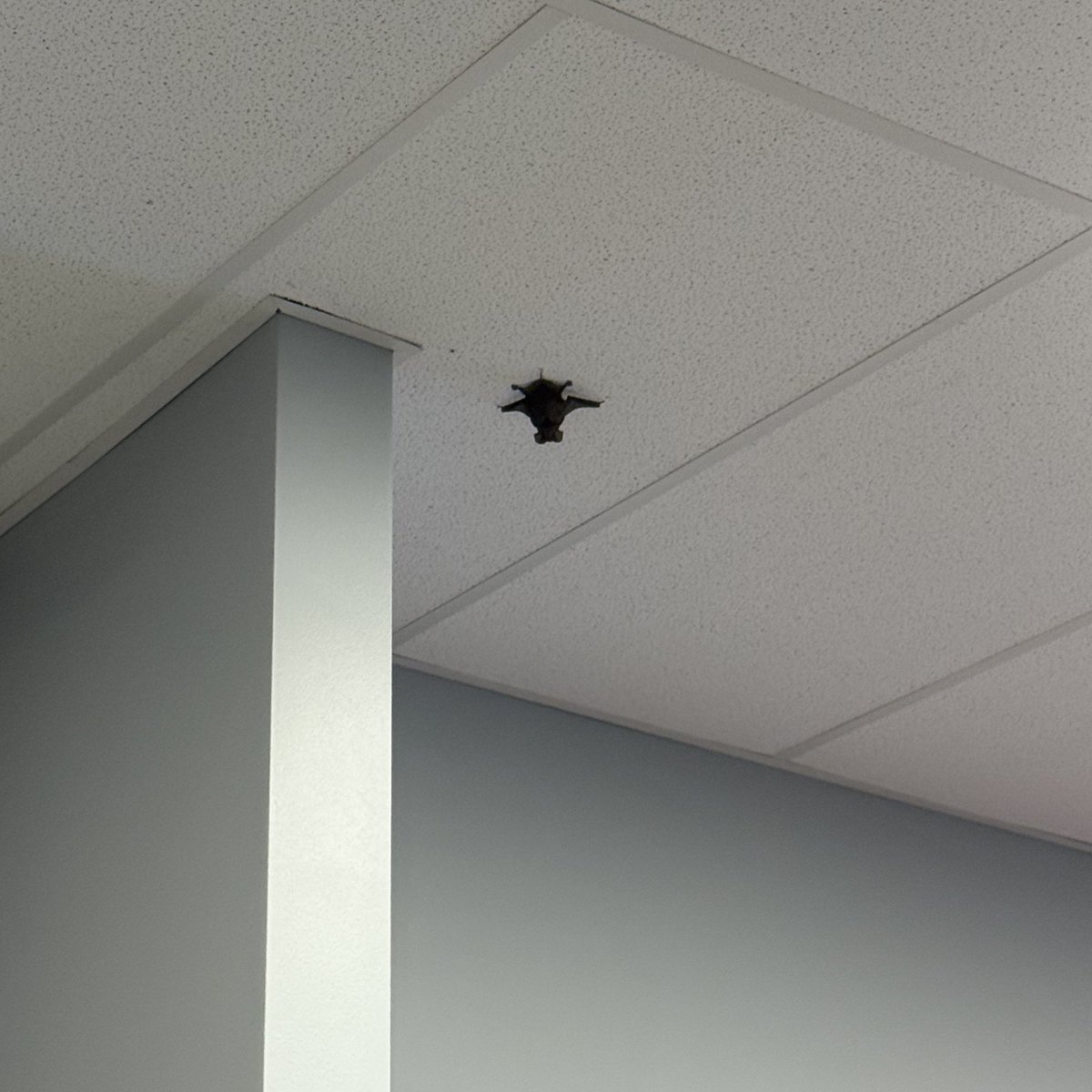 man why am i always in a situation