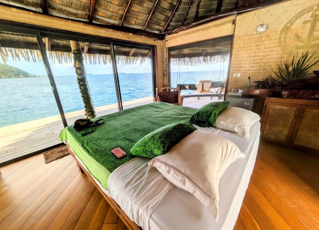 Owen Tooelve tweet media