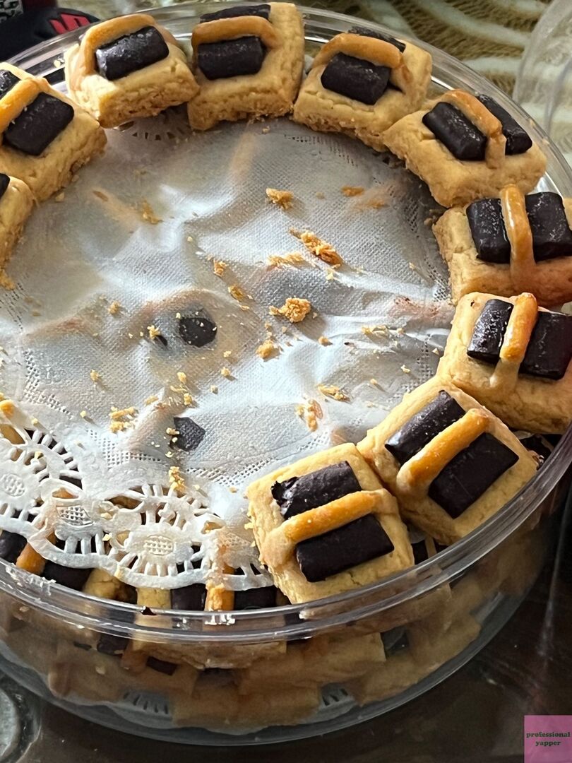 YAPPINGFESS tweet media