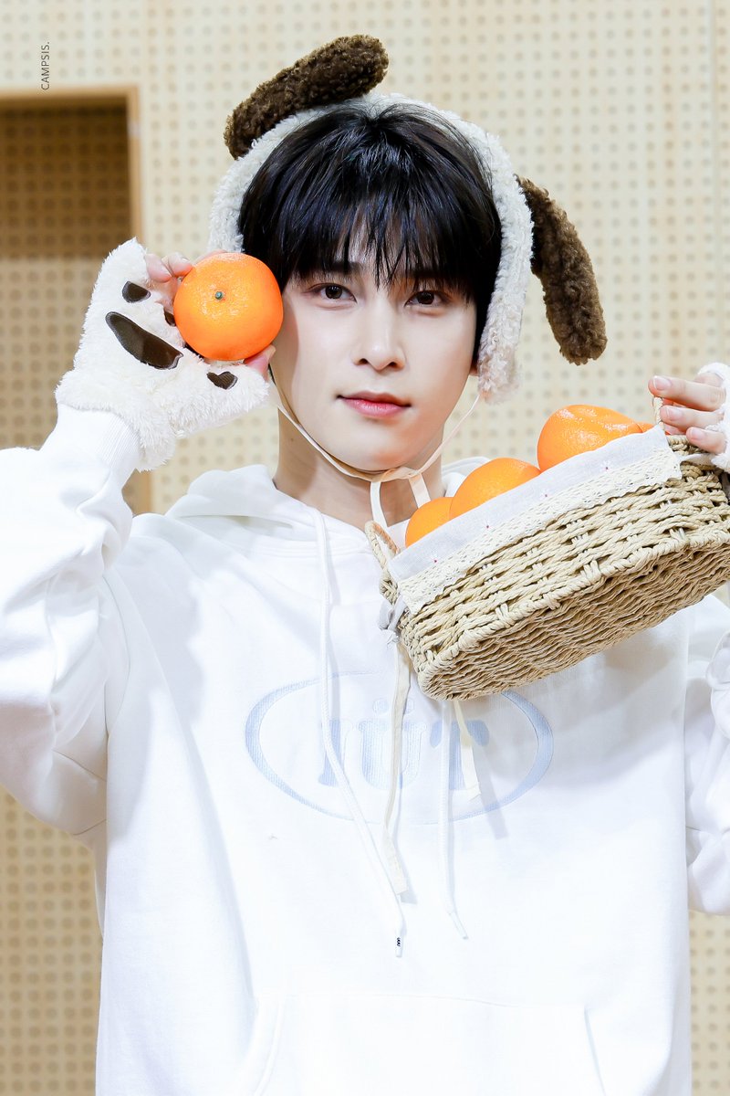 𝐂𝐀𝐌𝐏𝐒𝐈𝐒ꕤ tweet media