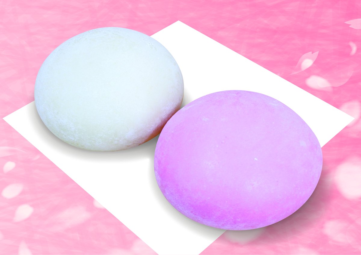 【公式】かもめテラス/かもめの玉子 tweet media