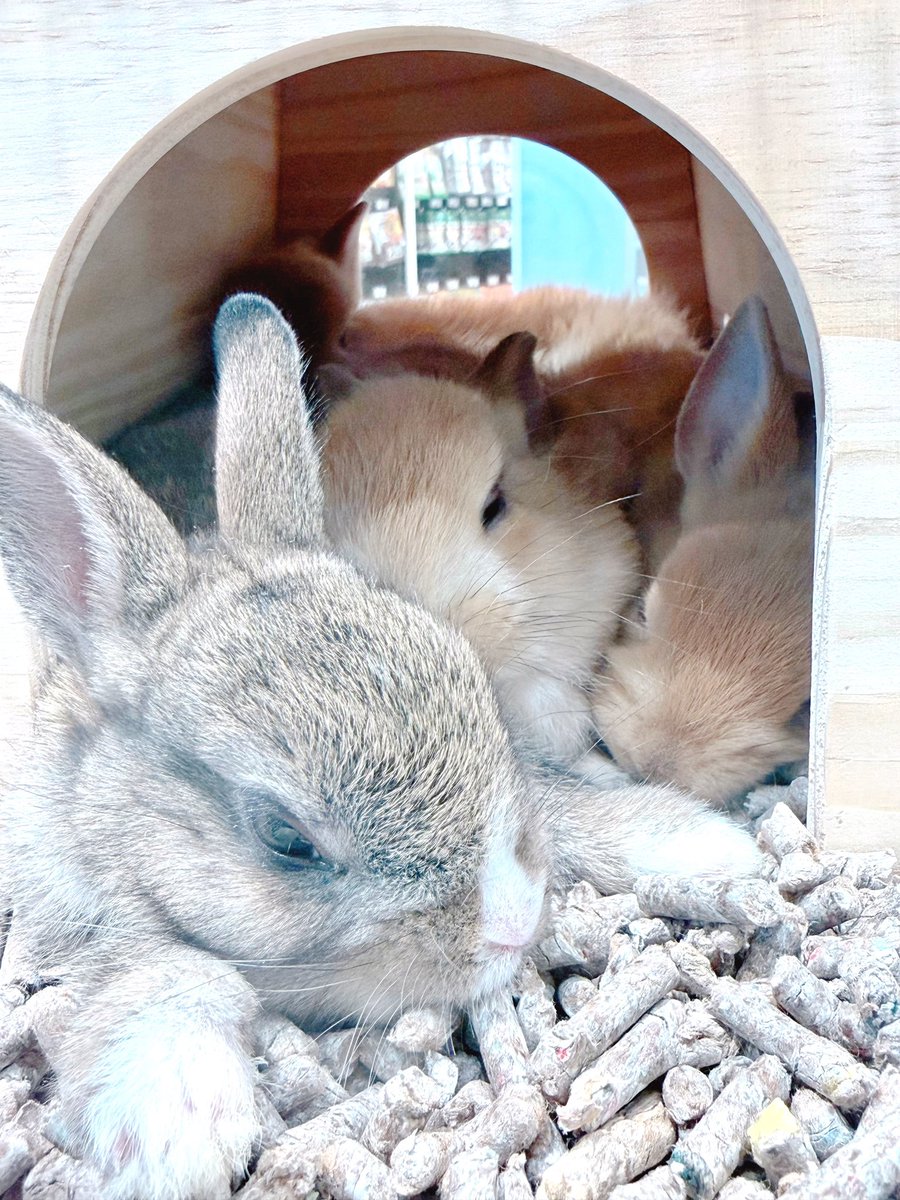 ひろみん@猪突猛進 tweet media