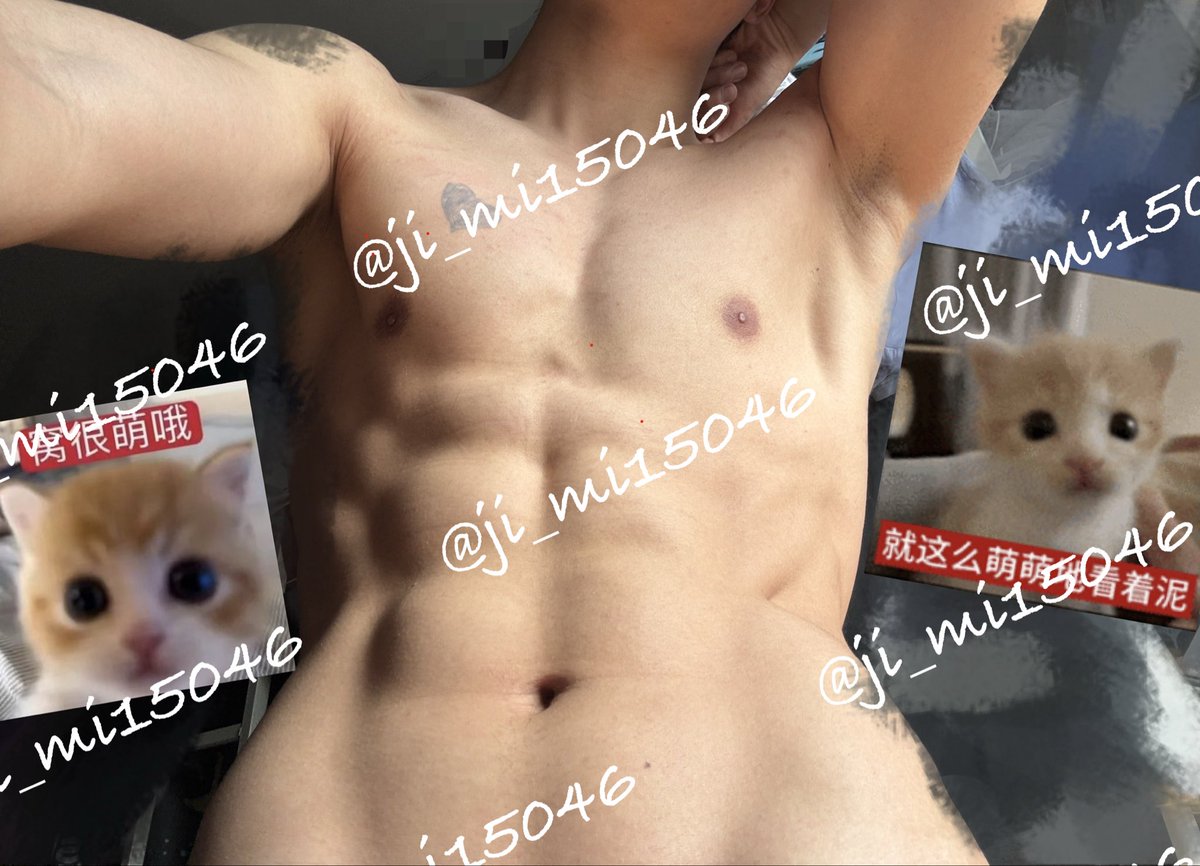 迷途鸟 tweet media