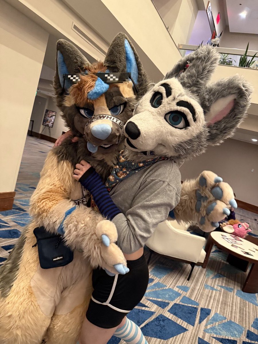 Daytona “Speedy” Husky! 🔜 BWS! AWU! MPX? FM? MFF! tweet media