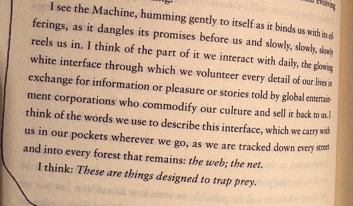 Mo Perry tweet media