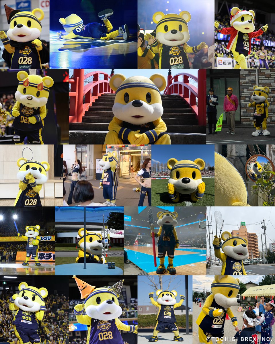 宇都宮ブレックス / UTSUNOMIYA BREX tweet media