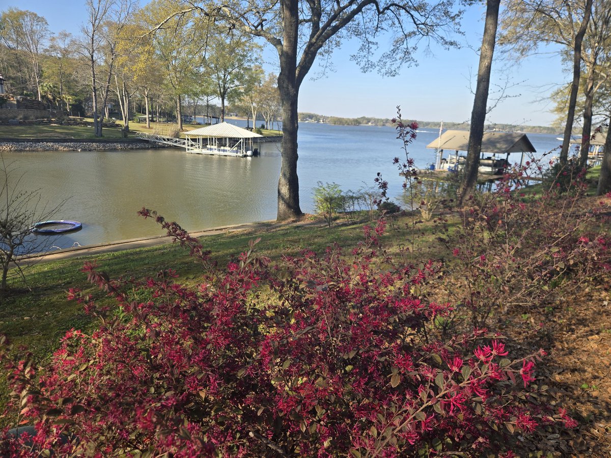 Jimmy Sarris tweet media