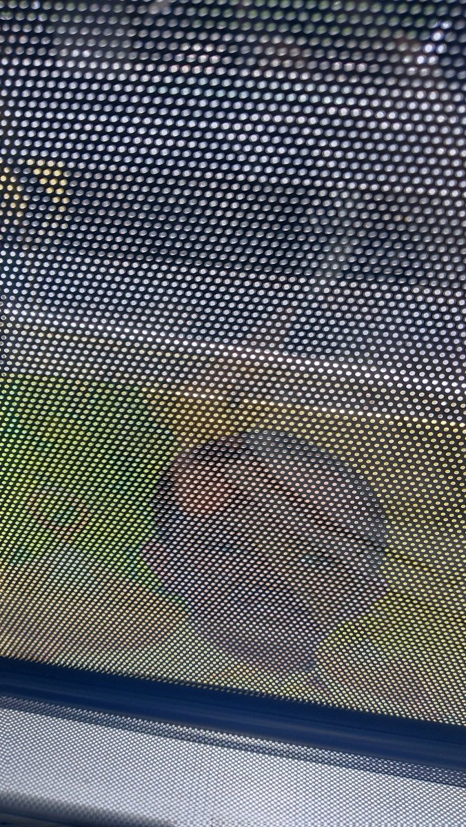 Transjakarta Ragunan tweet media