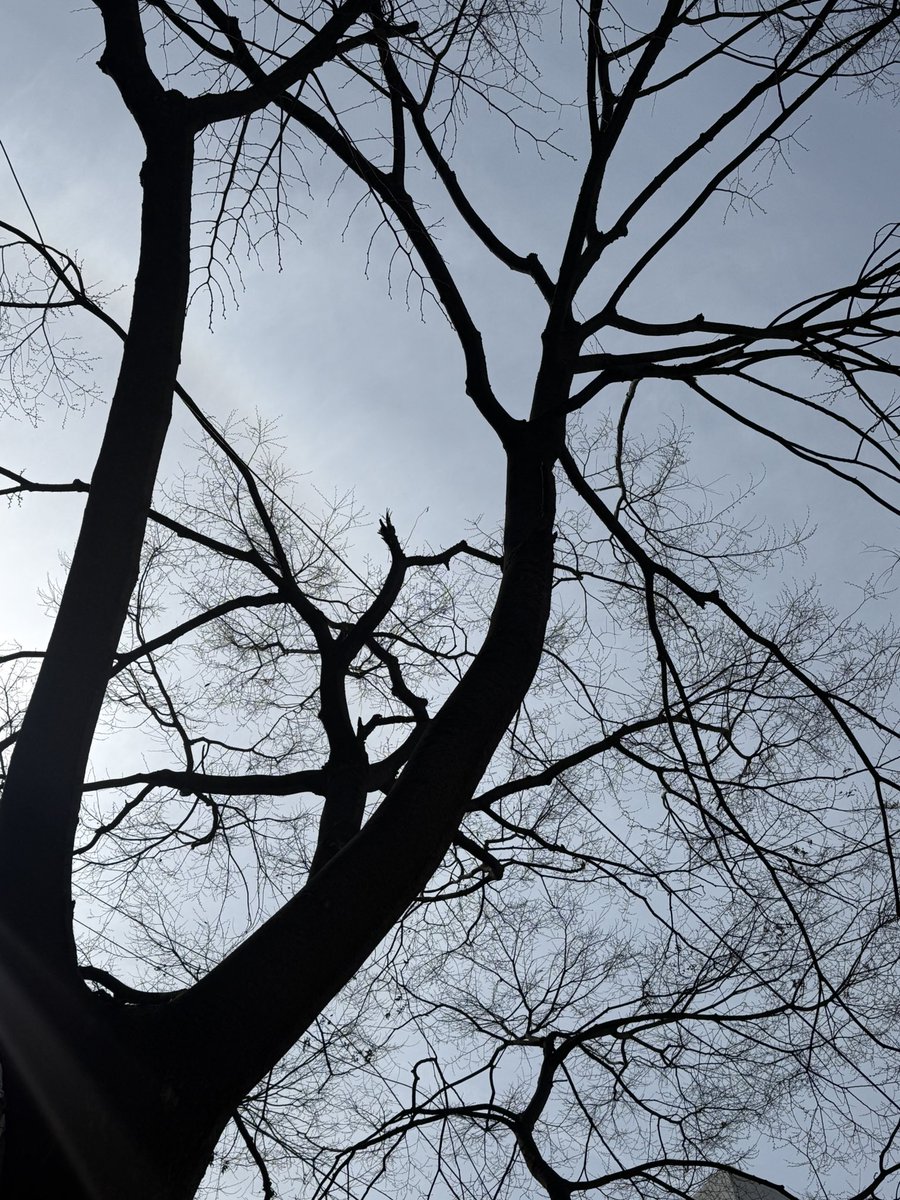 땽땽🧸🖤 tweet media